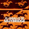 EL CABALLO DE MUYBRIDGE WELAB PLUS