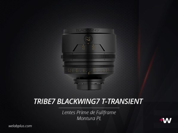 GUIA TRIBE7 BLACKWING7 T-TRANSIENT