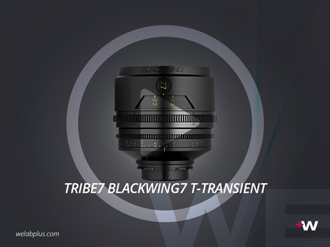 VIDEO TRIBE7 BLACKWING7 T-TRANSIENT