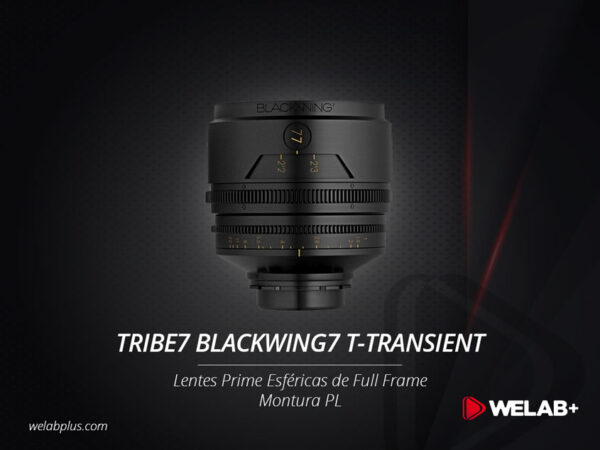 GUÍA TRIBE7 BLACKWING7 T-TRANSIENT