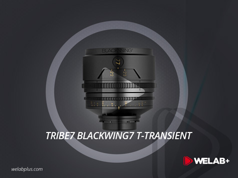 VIDEO TRIBE7 BLACKWING7 T-TRANSIENT