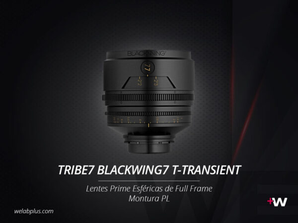 GUÍA TRIBE7 BLACKWING7 T-TRANSIENT