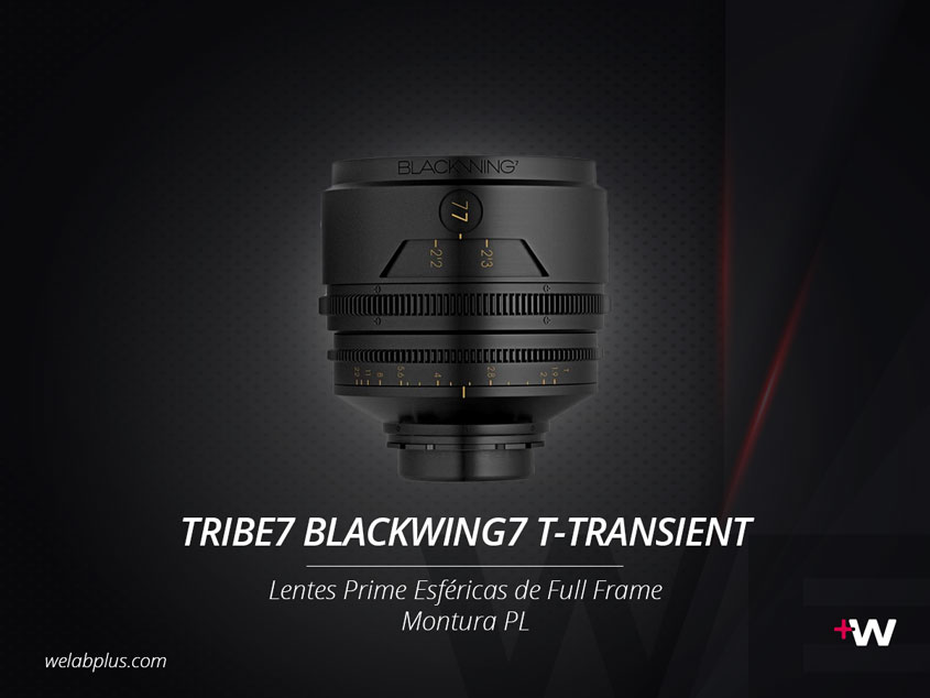 TRIBE7 BLACKWING7 T-TRANSIENT WELABPLUS